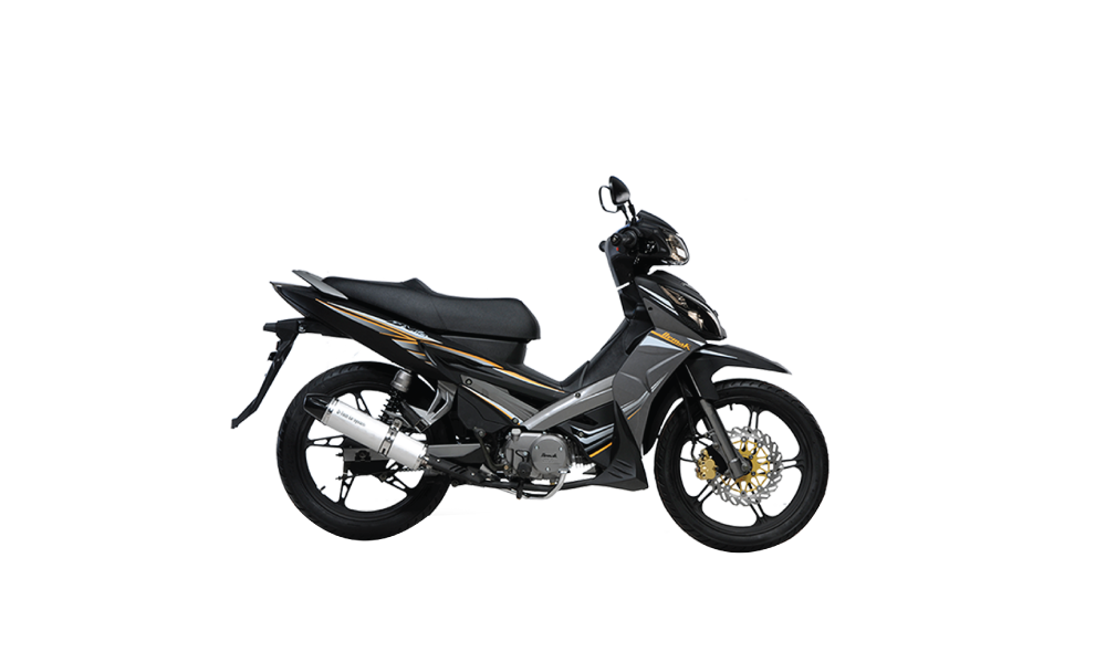 DEMAK DVS115