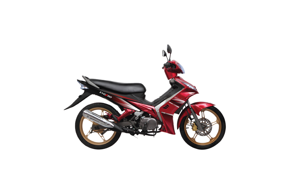 DEMAK EVO Z110