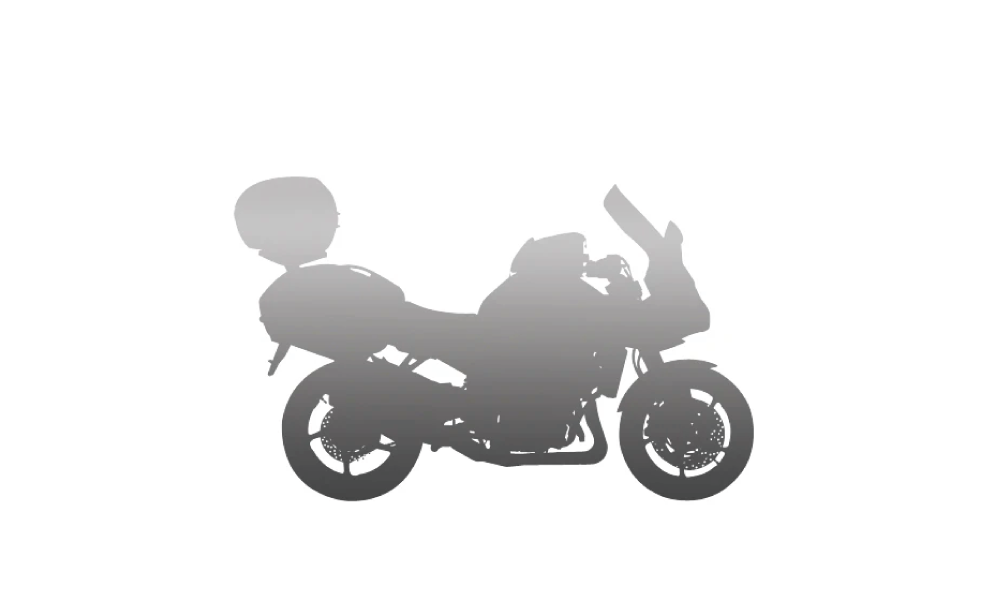 YAMAHA EGO S110